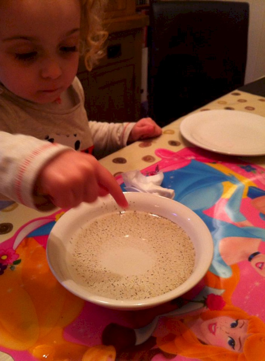 Saucer of water and black pepper having detergent dropped in