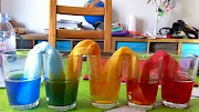 Coloured water flowing through kitchen towel between five glasses
