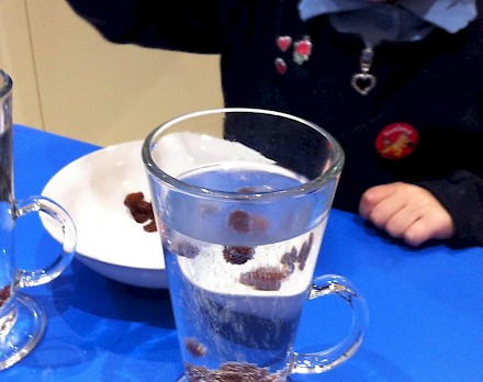 Sultanas being dropped into a tall glass of clear fizzy liquid