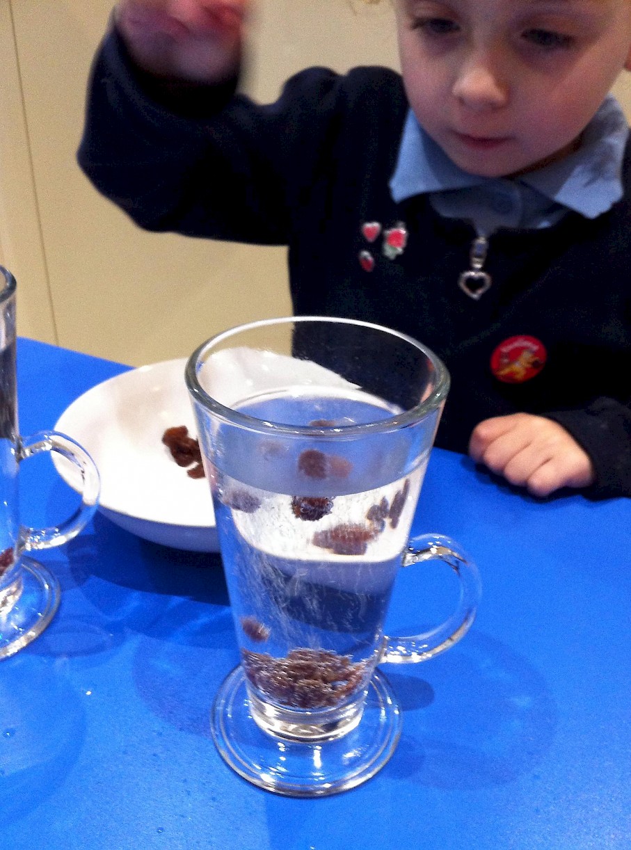 Sultanas being dropped into a tall glass of clear fizzy liquid